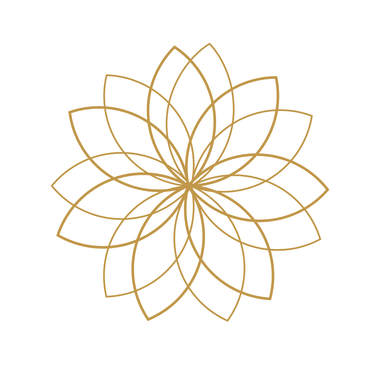Amara Physio logo
